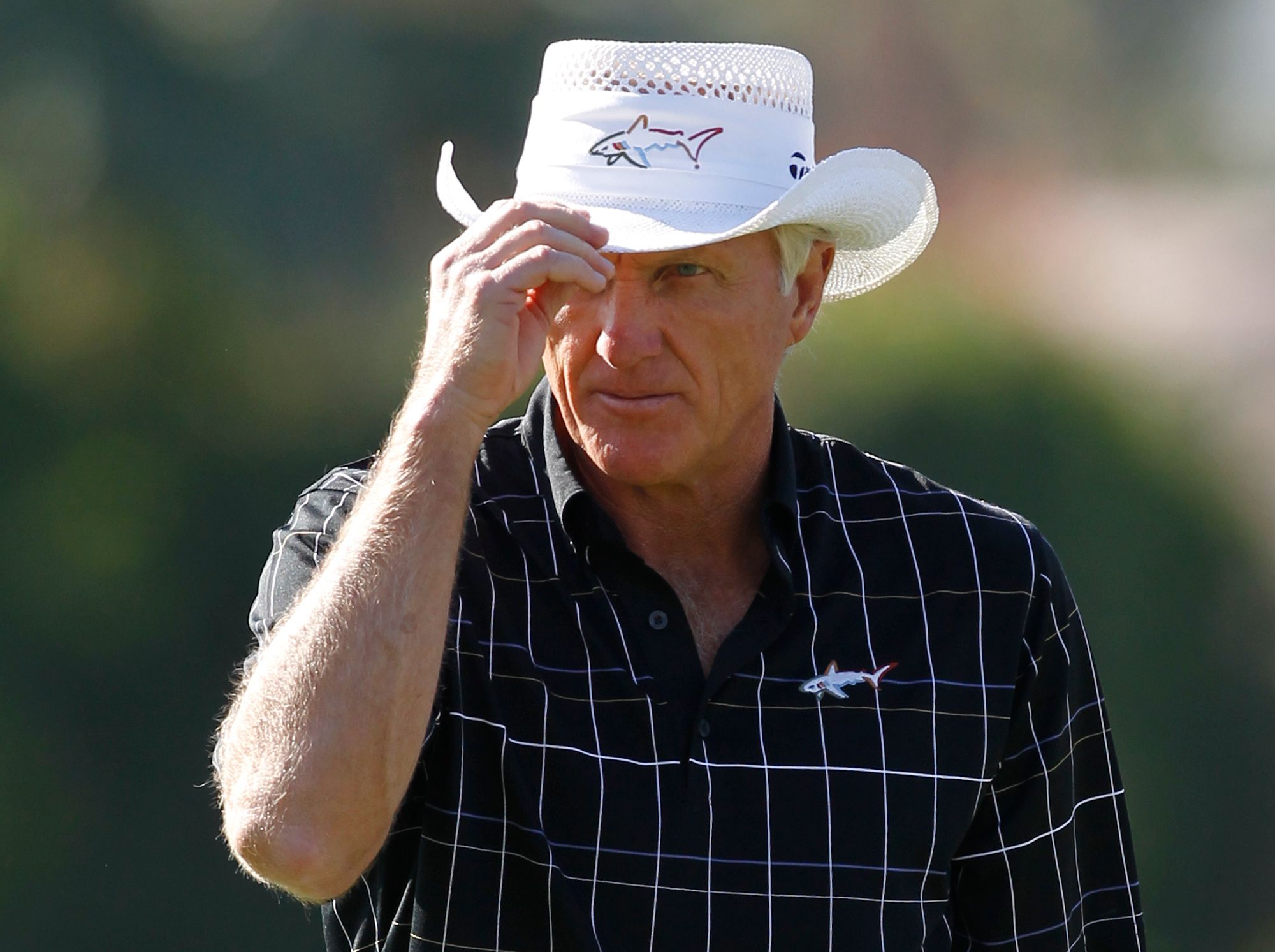 Greg Norman Greg Norman