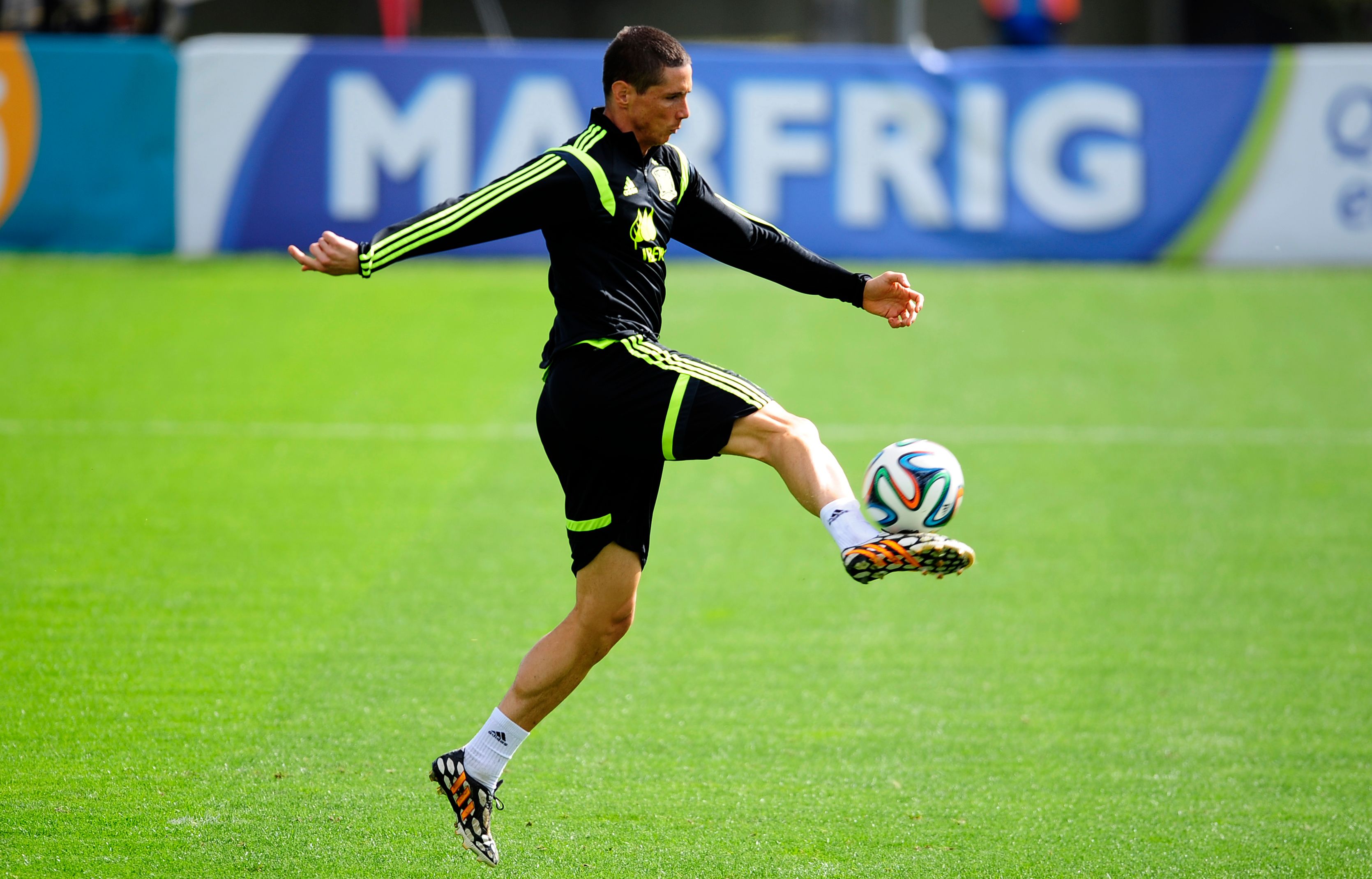 Fernando Torres