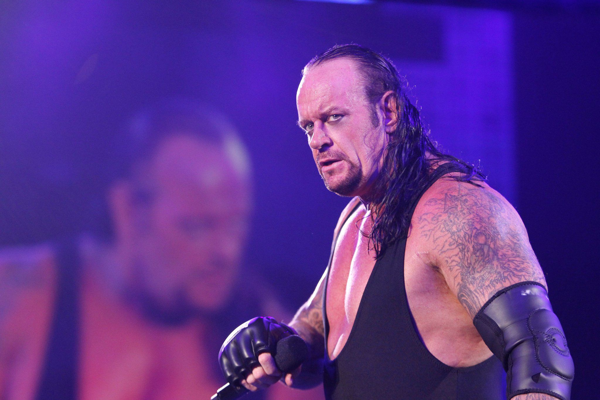 wrestlestars-pics-1