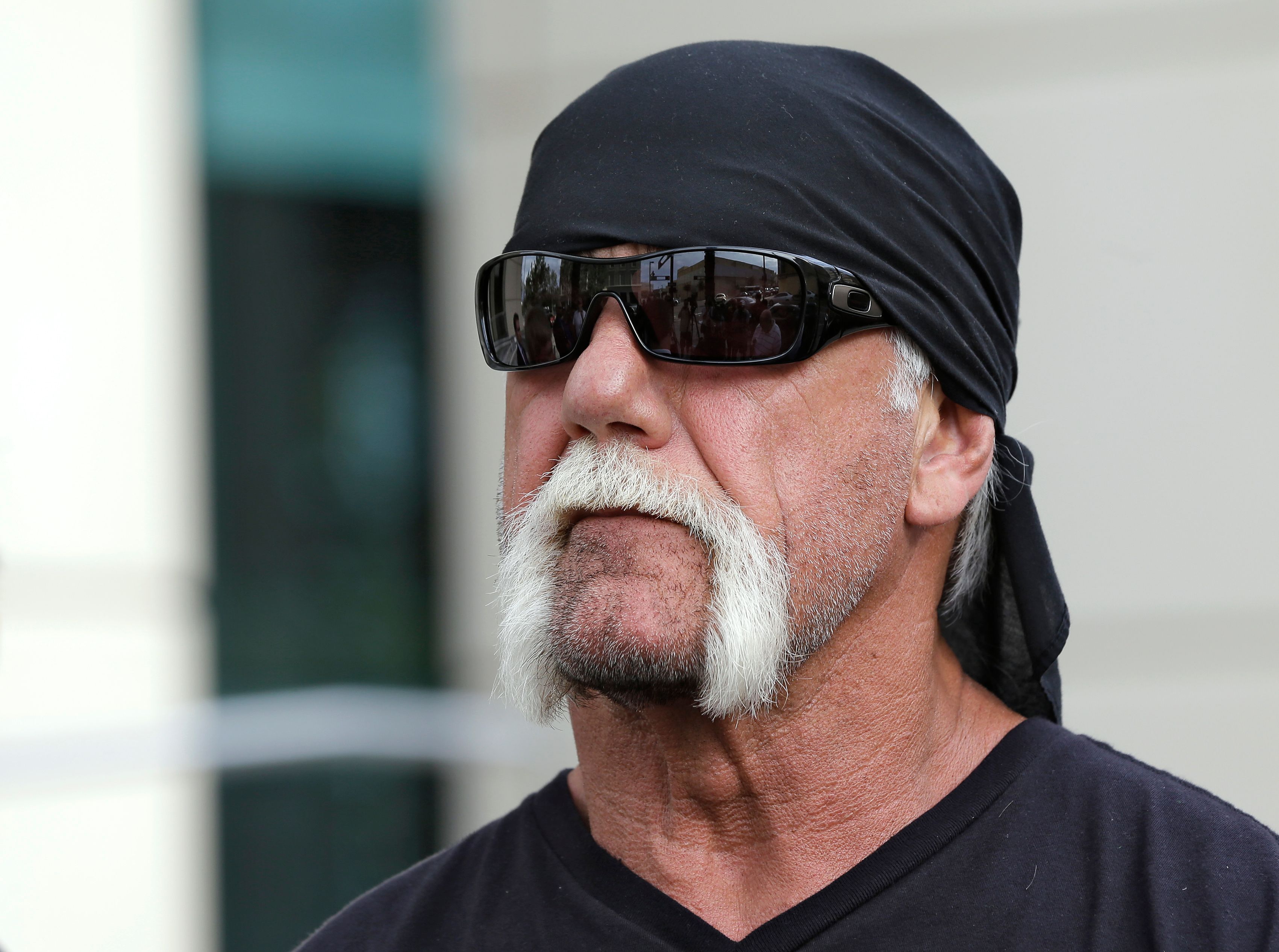 Terry Bollea, Hulk Hogan,