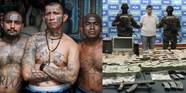 15 Disturbing Facts About Mexican Drug Cartels TheRichest