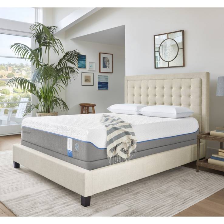 25 Crazy Expensive Things Oprah Bought On A Whim News Need News