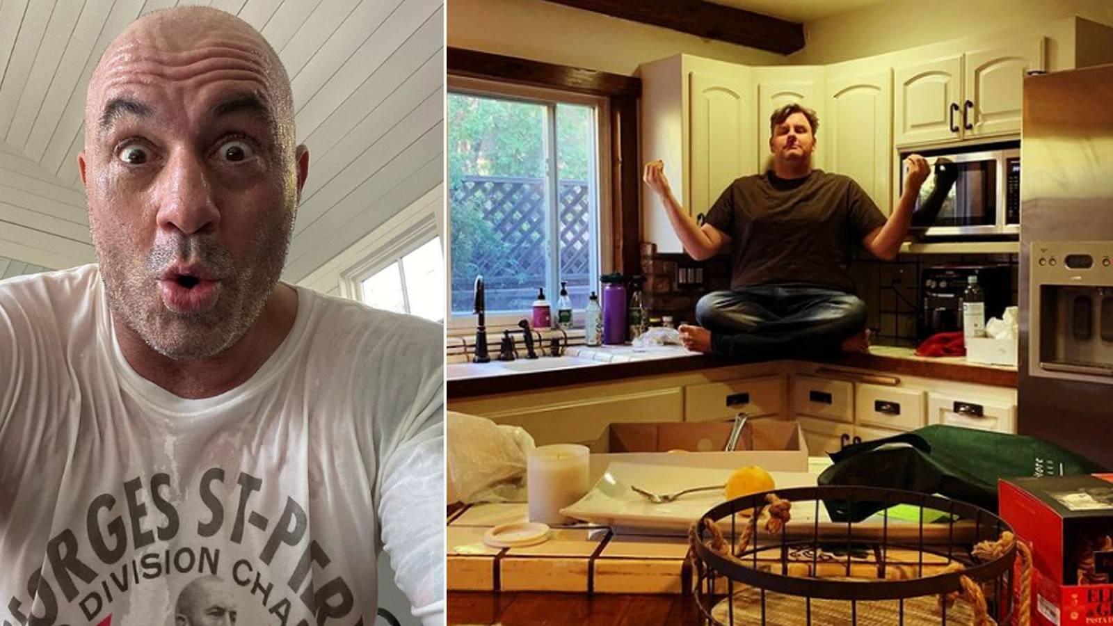 The New Joe Rogan? How Tim Dillon is Making Millions On Patreon
