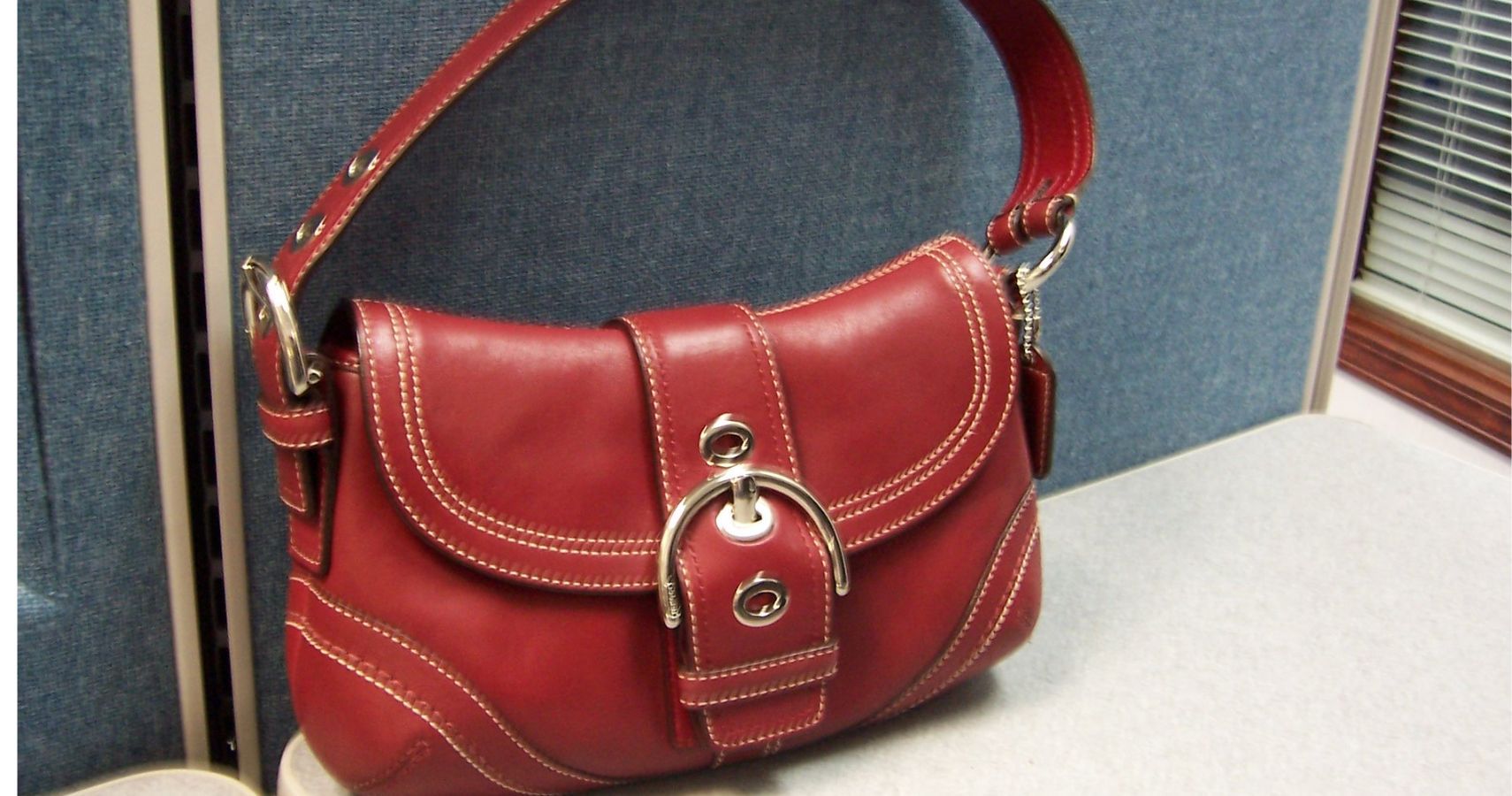 The Most Expensive Coach Purses Ever, Ranked