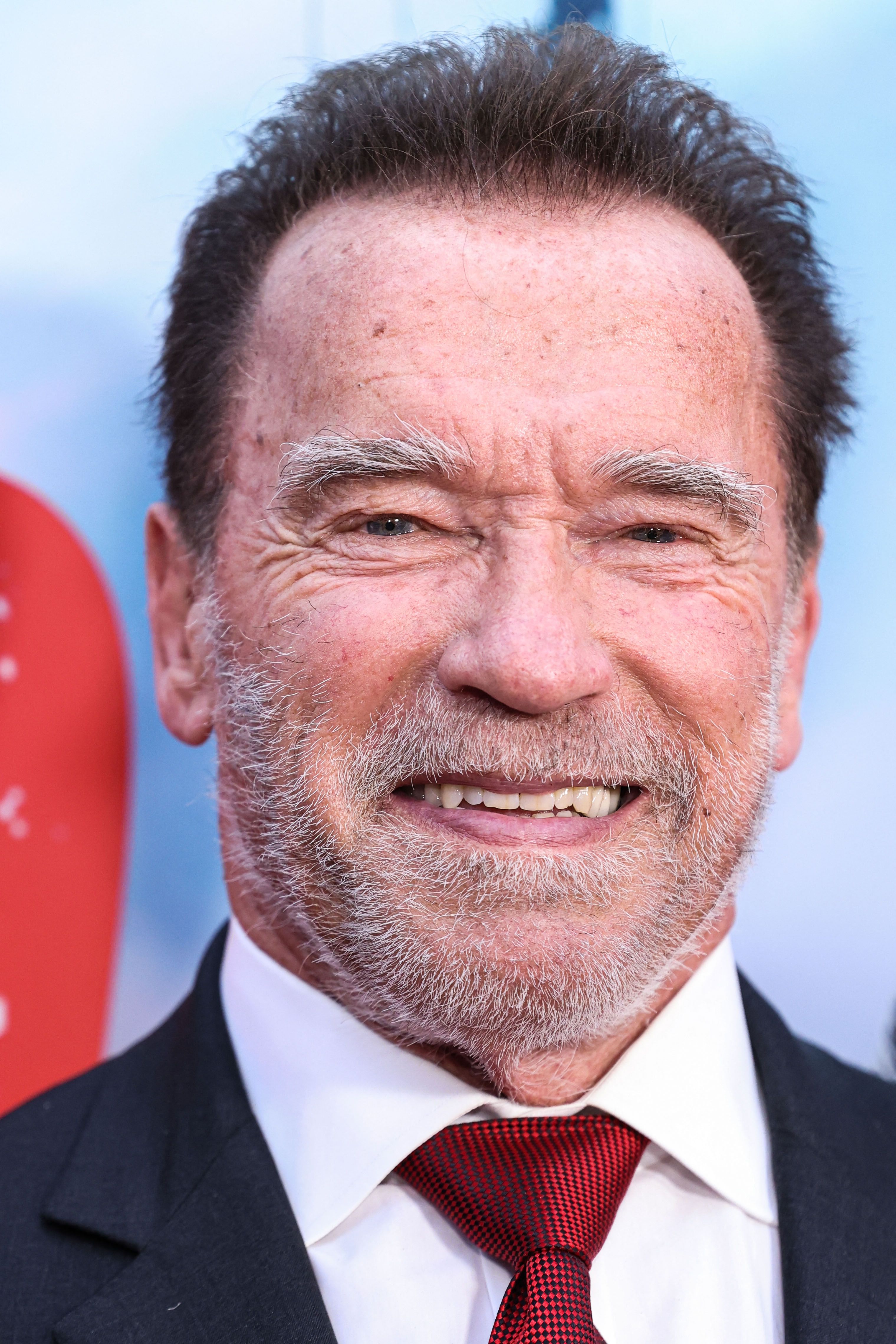 Arnold Schwarzenegger Net Worth | TheRichest, image size:3039x4559