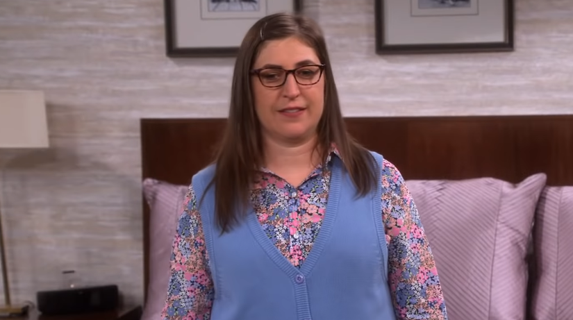 How Much Did The Cast Of The Big Bang Theory Make?