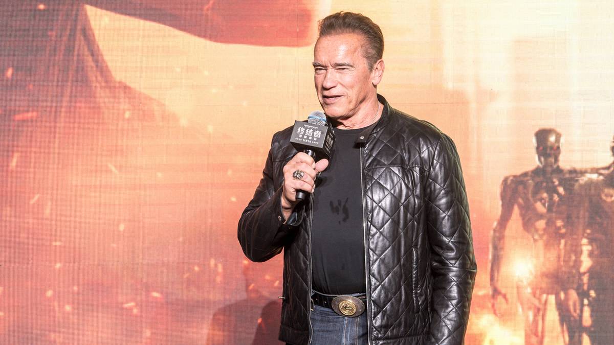 How Much Was Arnold Schwarzenegger Paid For Terminator?