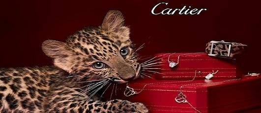The Top 10 Most Expensive Cartier Watches